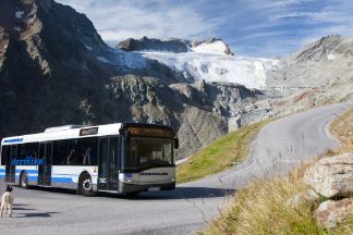 Buslinien